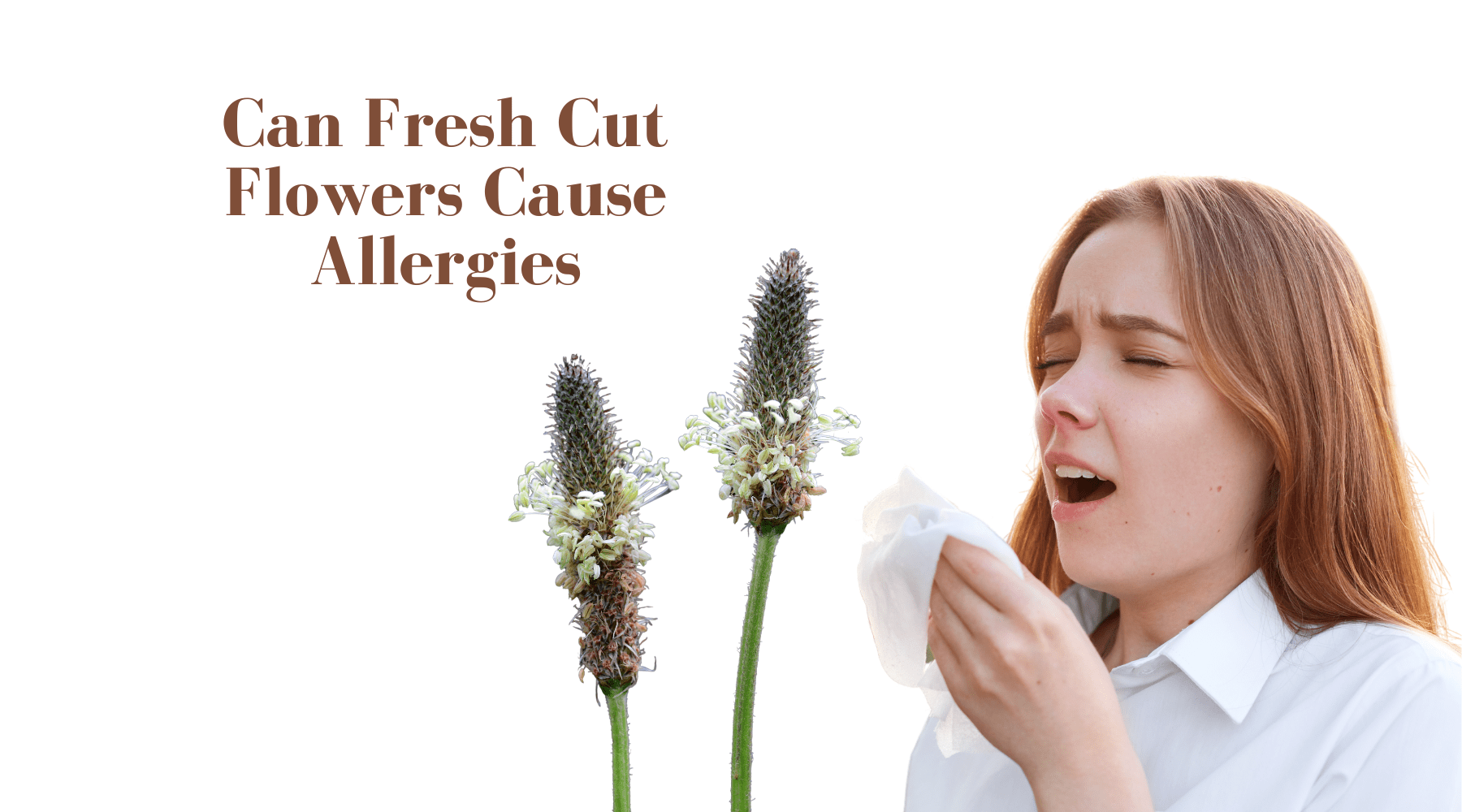Can Fresh Cut Flowers Cause Allergies