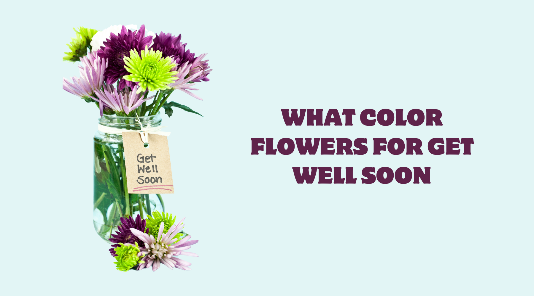 What Color Flowers For Get Well Soon