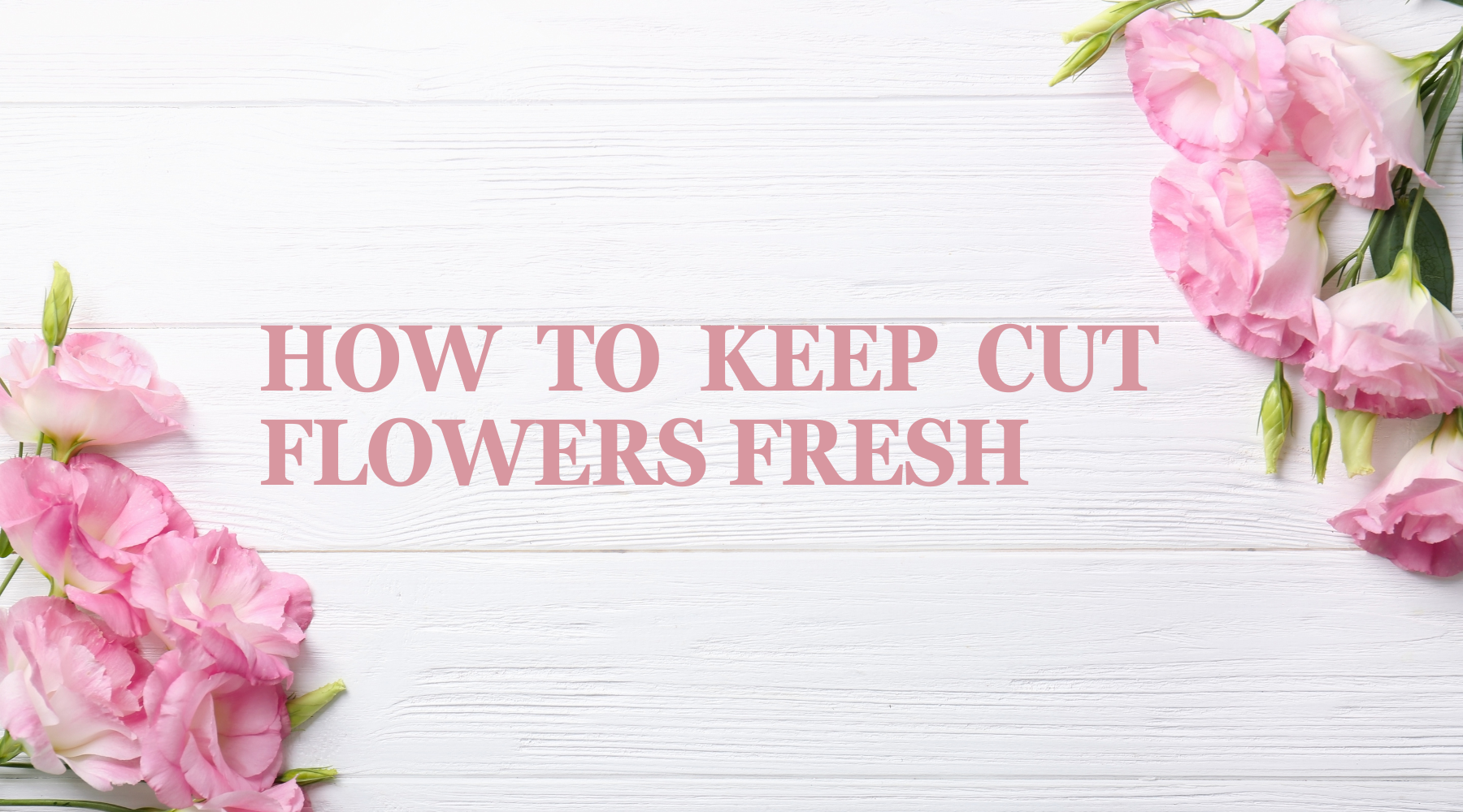 How To Keep Cut Flowers Fresh
