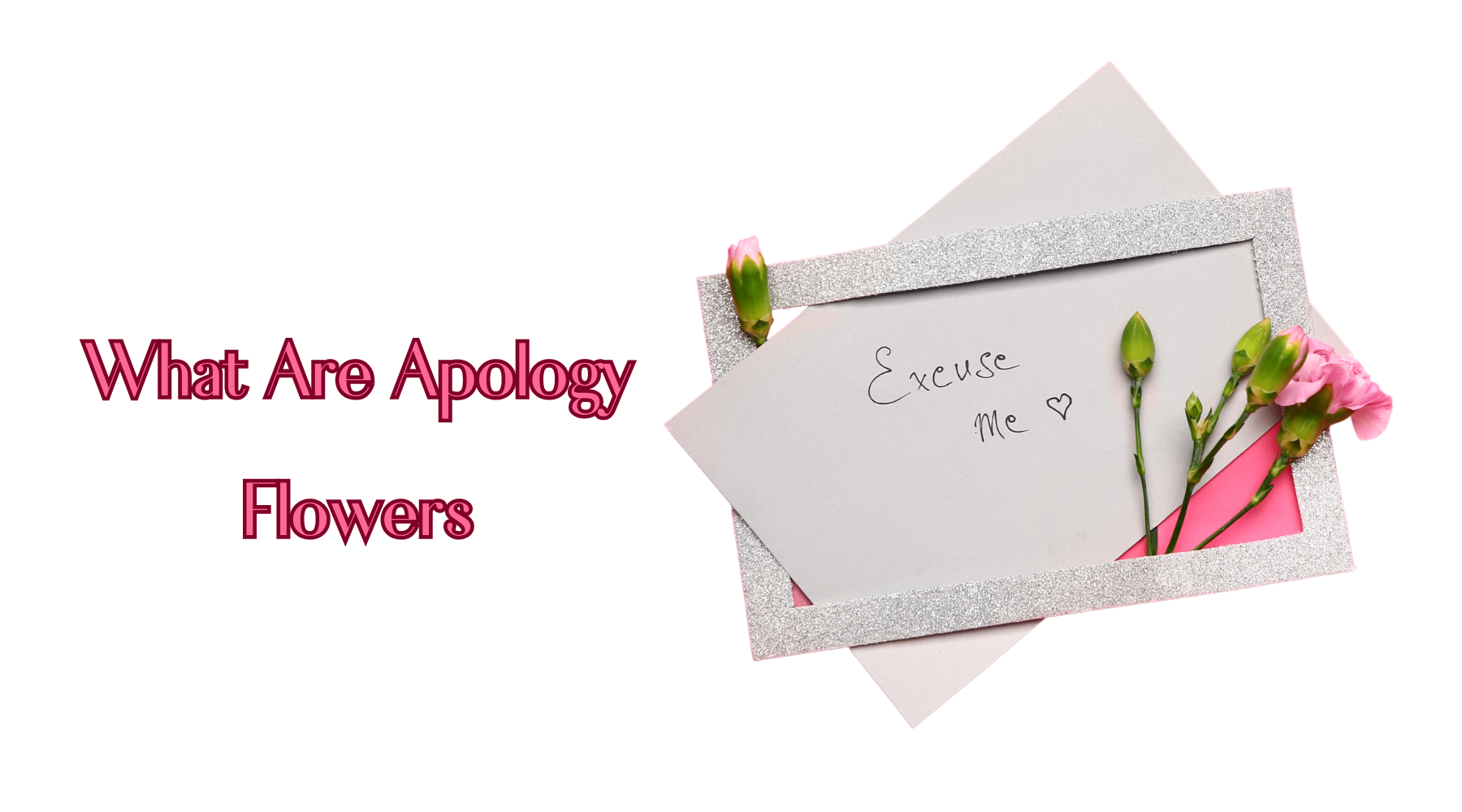 What Are Apology Flowers