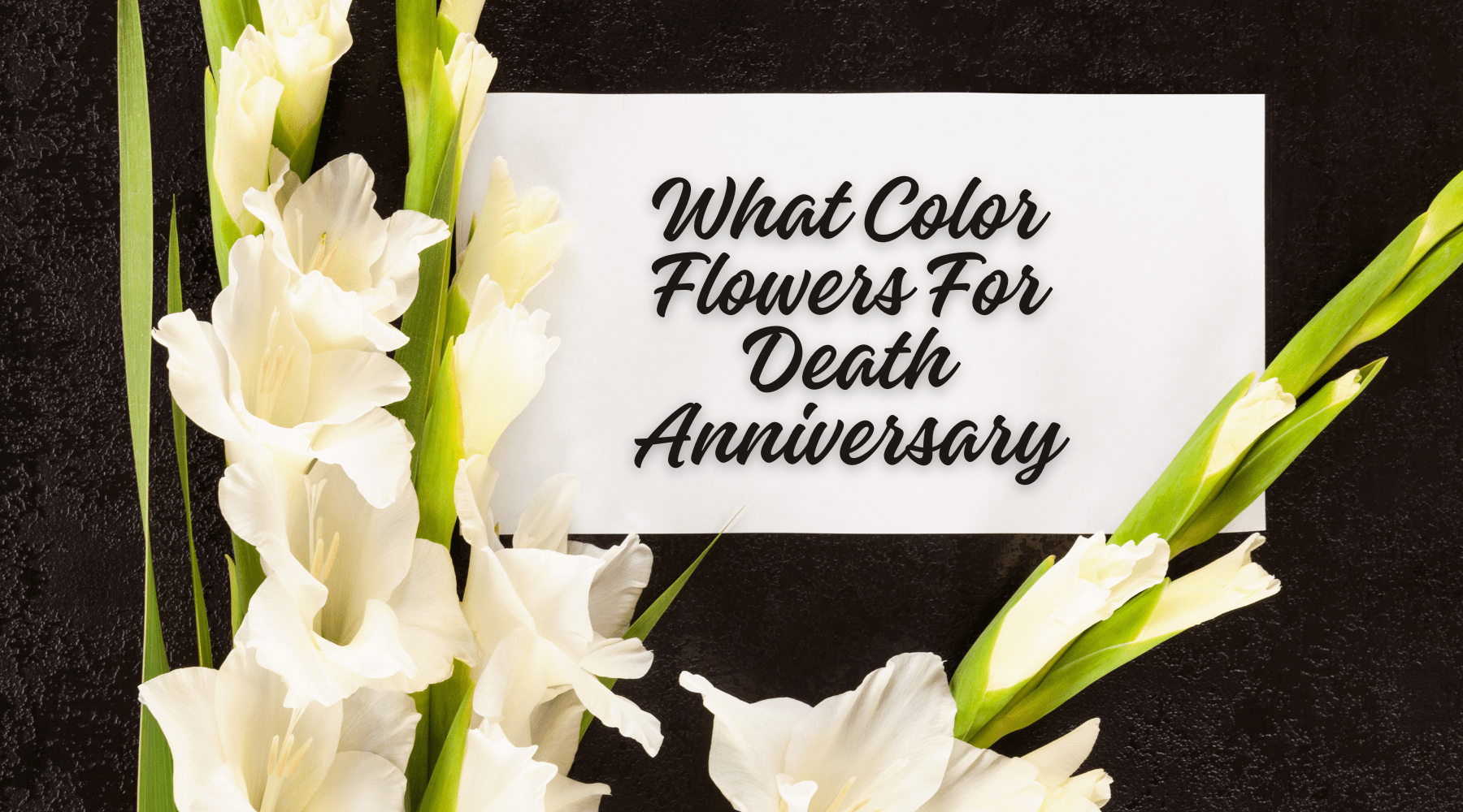 What Color Flowers For Death Anniversary