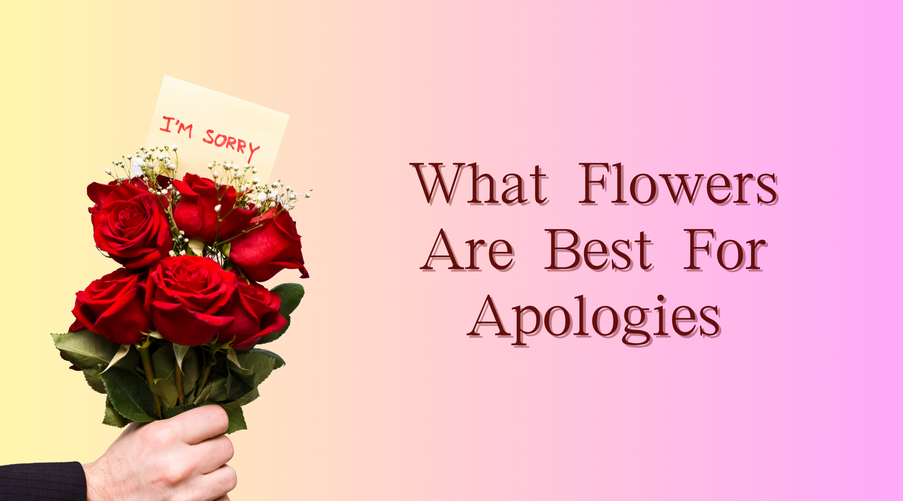 Sorry Roses What Flowers Are Best For Apologies