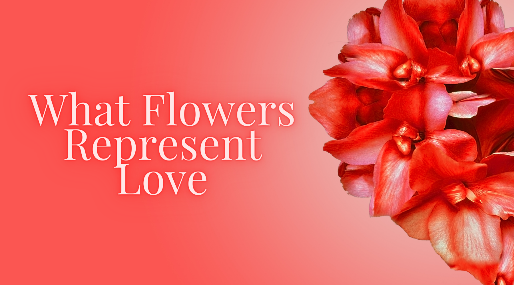 What Flowers Represent Love