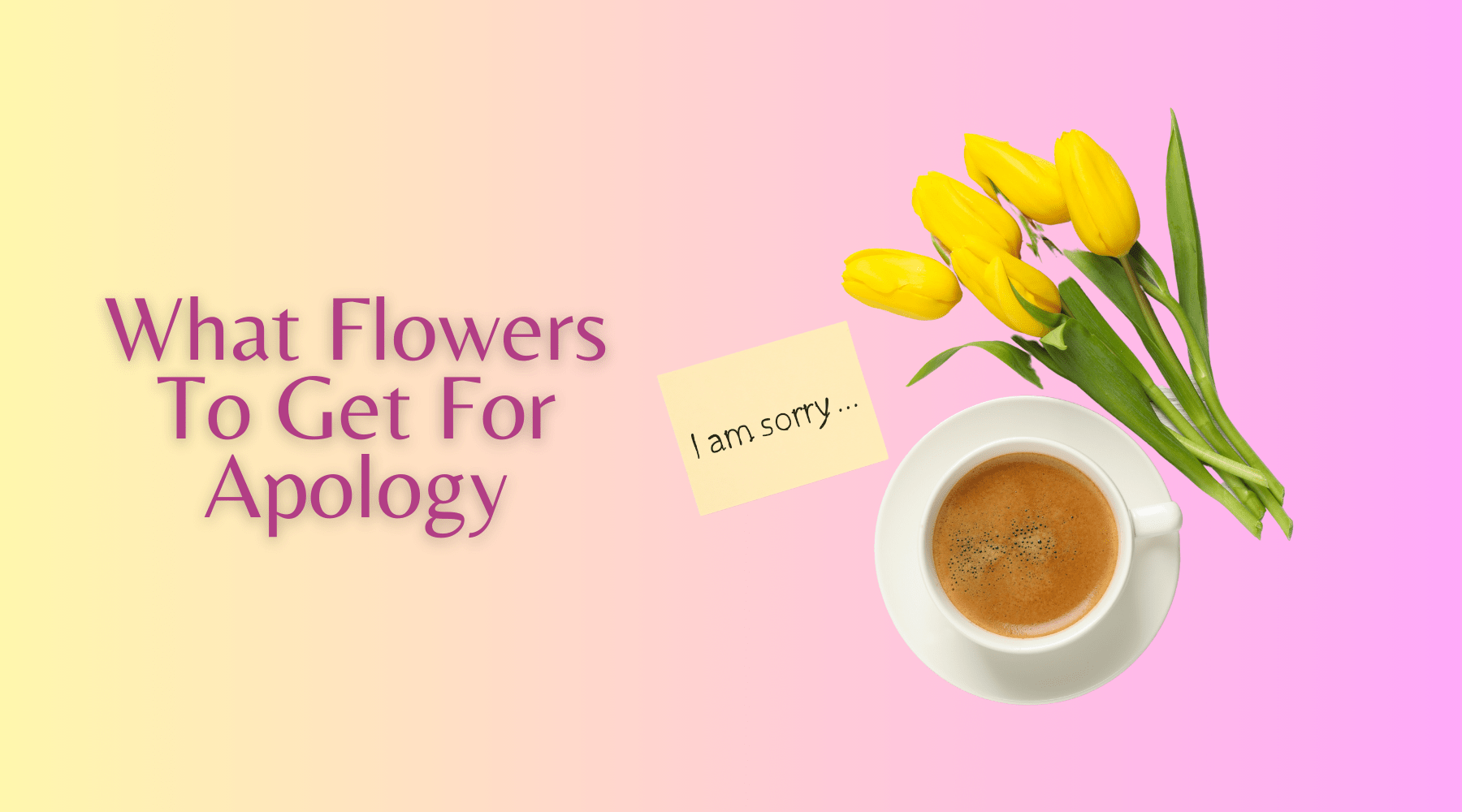 What Flowers To Get For Apology