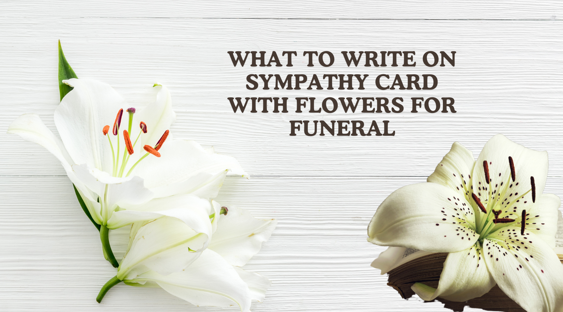 What To Write On Sympathy Card With Flowers For Funeral