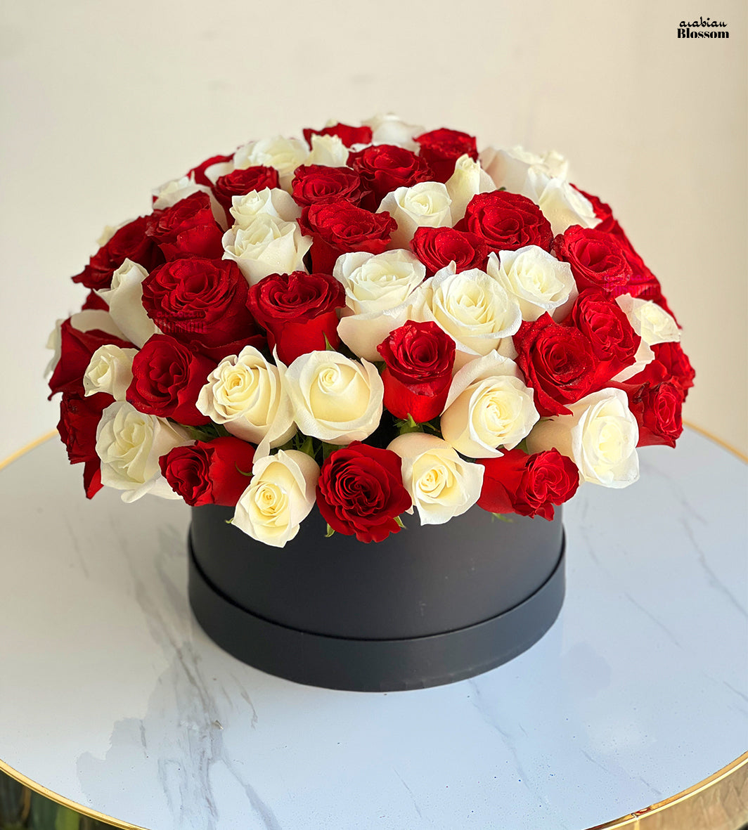 60 Red Roses 60 Romantic White & Red Roses In a Box