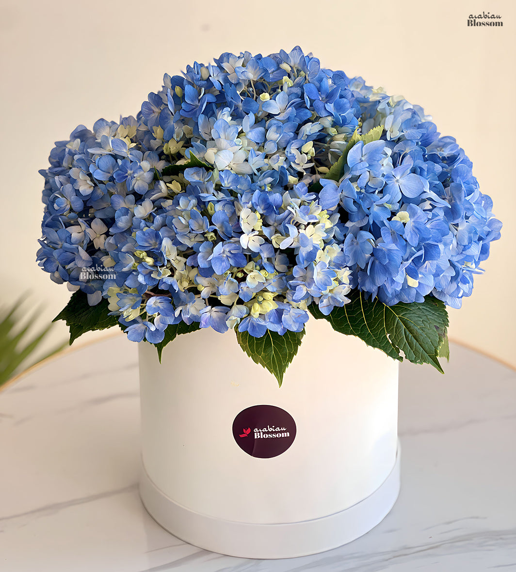 Happy Birthday Flowers - Blue Blooms in a White Box - Elegant Roses - Fresh Flowers