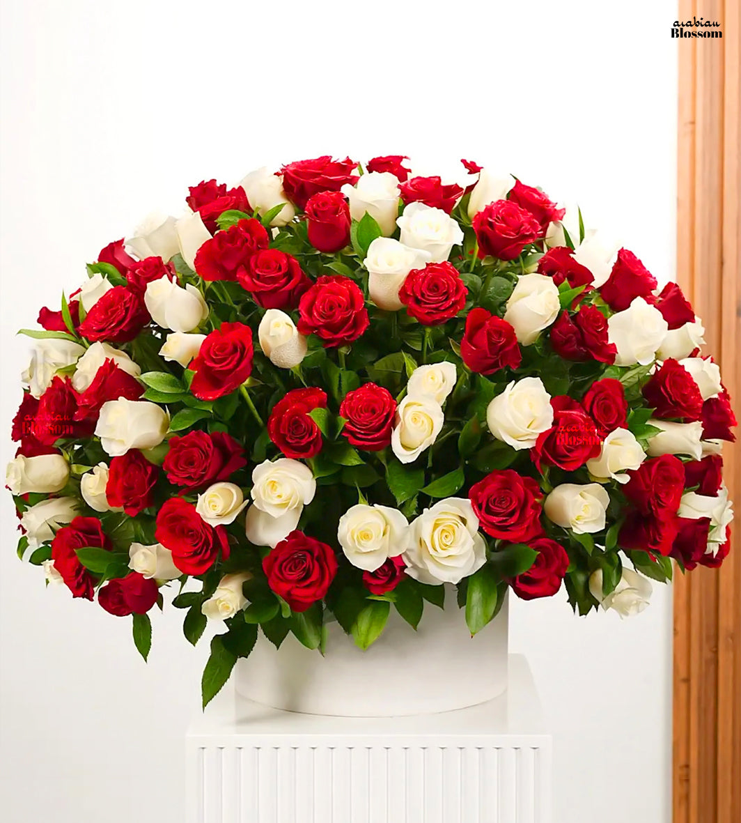 Box Of Red And White Roses