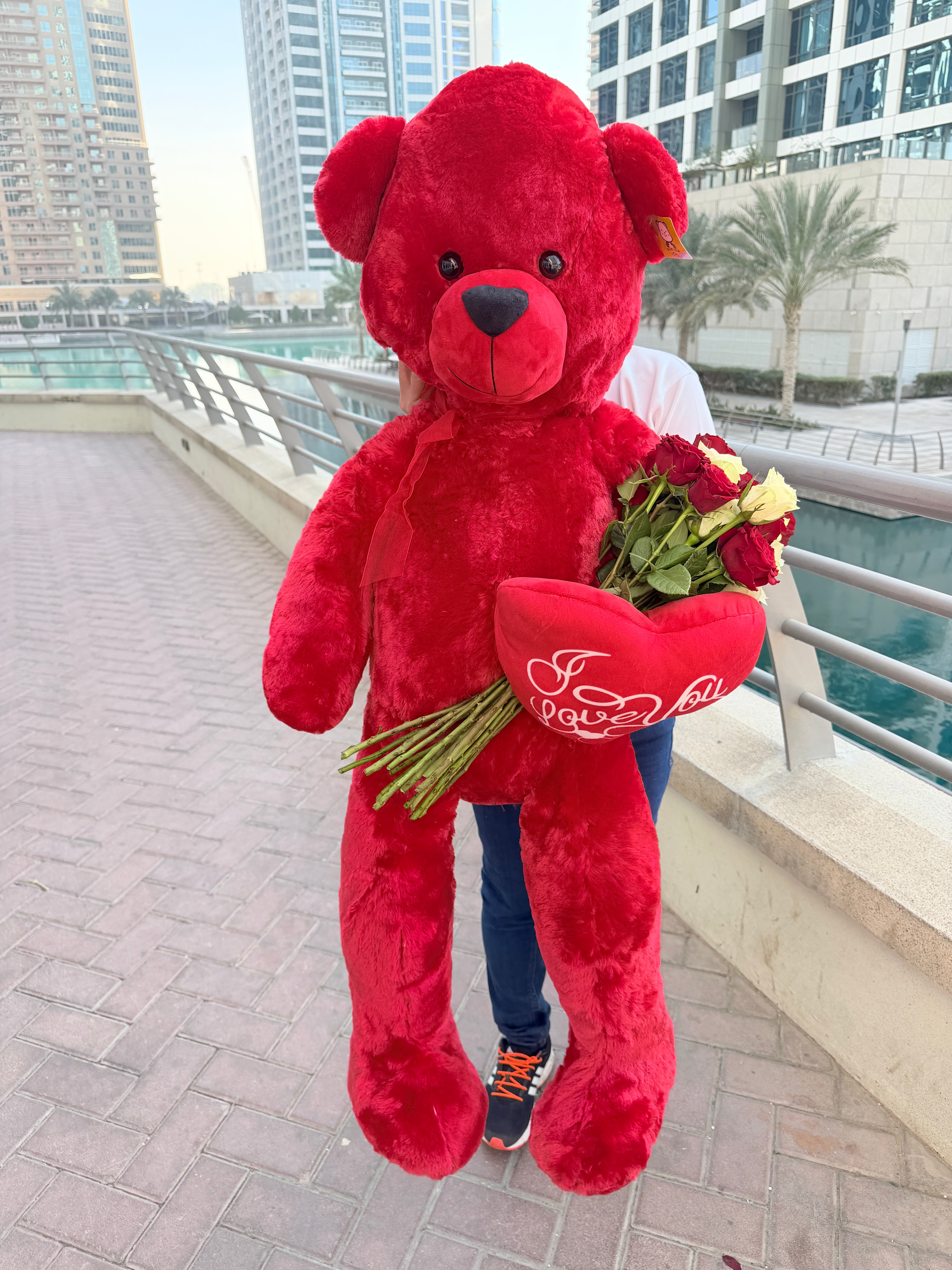 Bouquet of 12 Red Roses