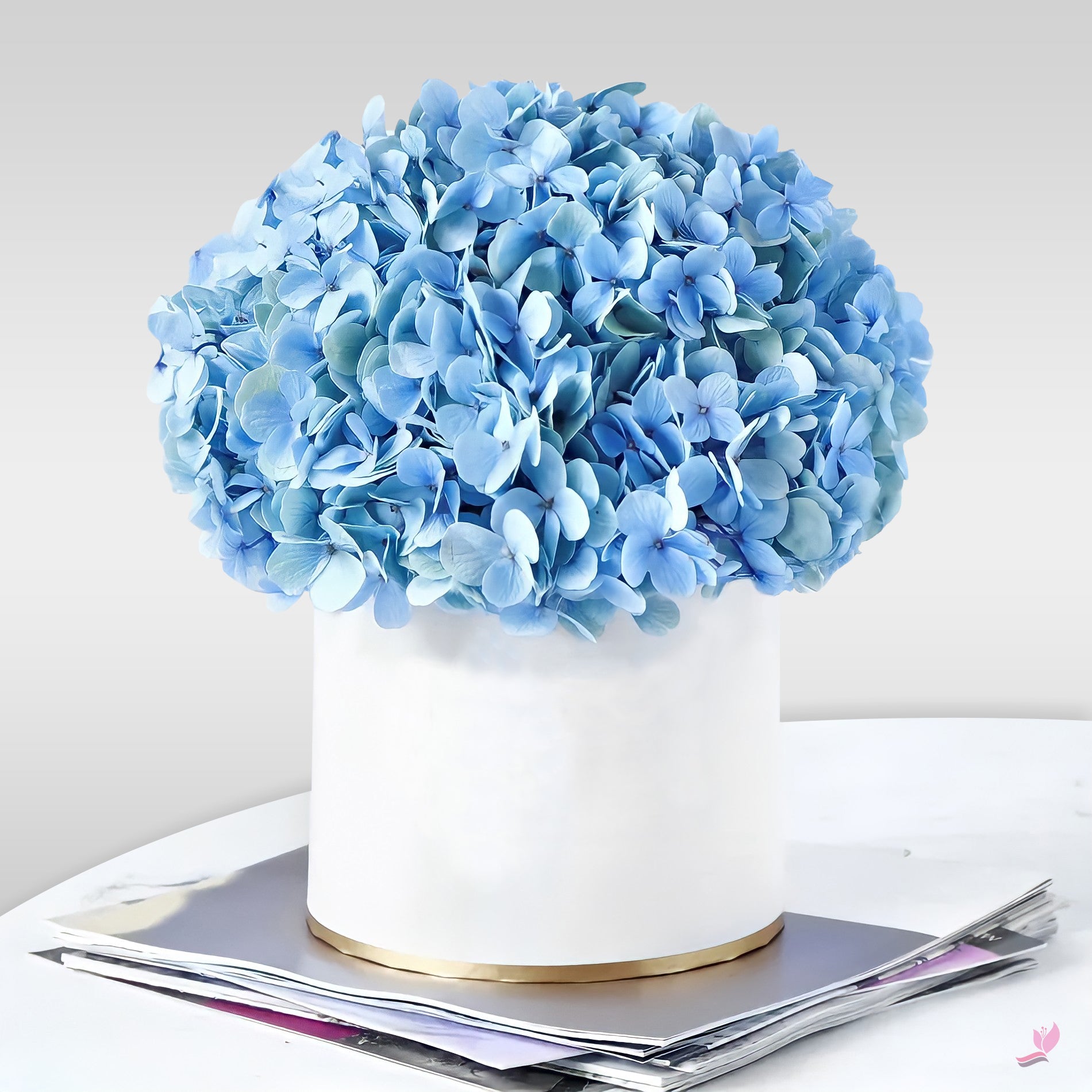 Lucky Blue - Blue Hydrangea in a White Box - Fresh Cut Flowers - Single Stem Bouquets