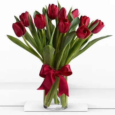 Red Tulips in a Vase - Arabianblossom - 10 Red Tulips - Fresh Cut Flowers