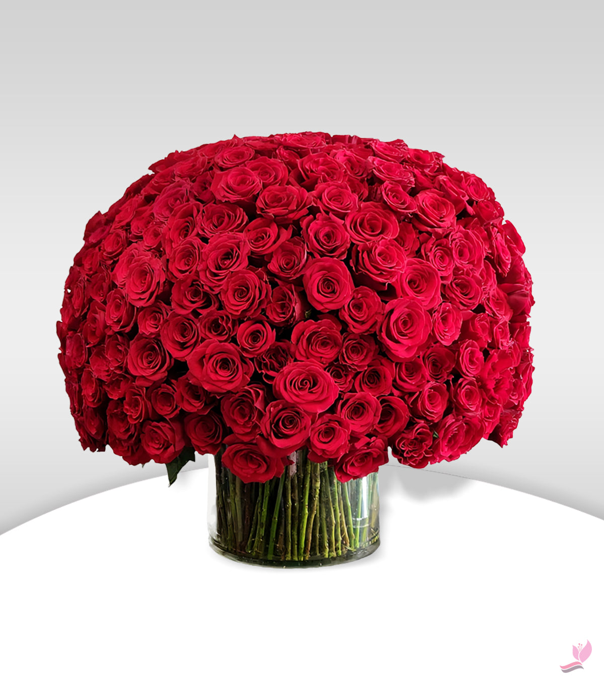 Red Roses With 200 Stems  - Arabianblossom - Fresh Cut Flowers - Same Day Delivery