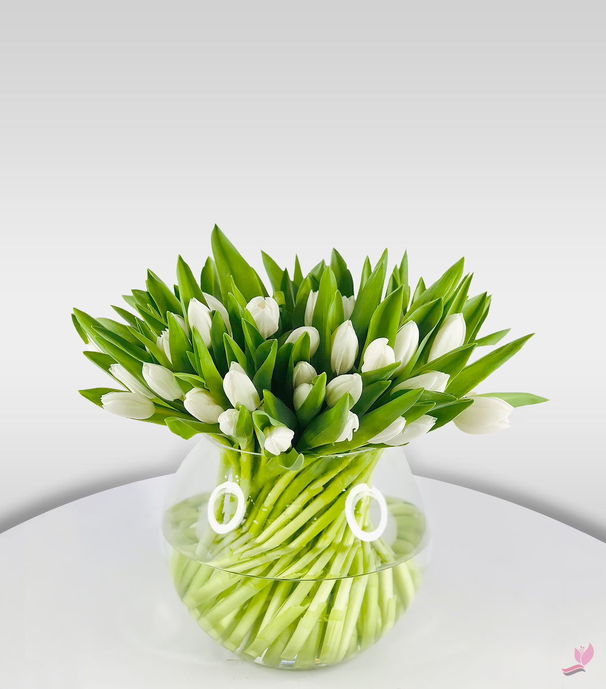 White Tulips In A Vase - Single Stem Bouquets - Fresh Cut Flowers