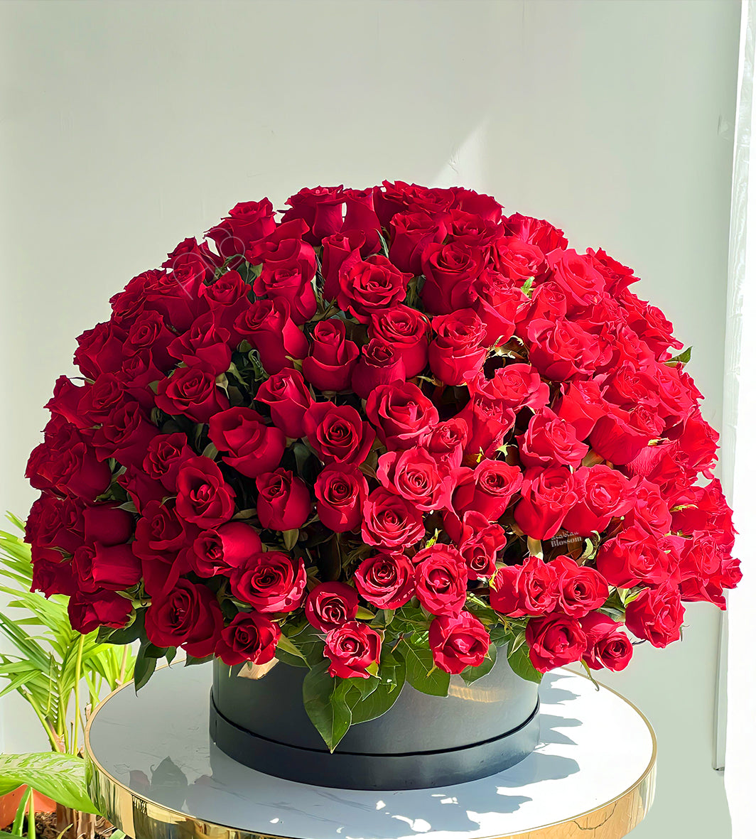 200 Red Roses In a Black Box